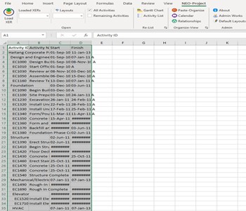 Reorganize the Pasted P6 data in Excel